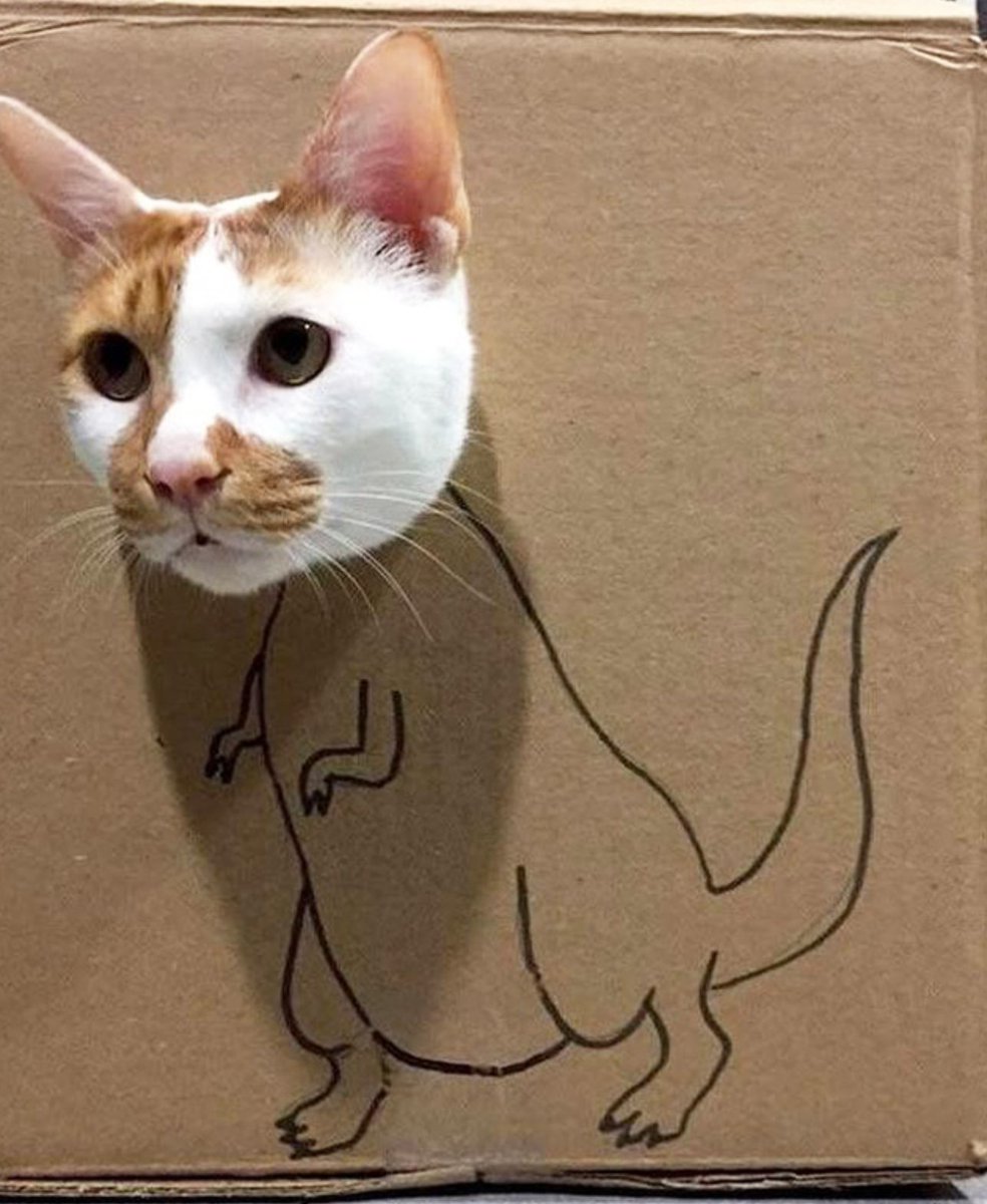 AlanSla90124663's tweet photo. #Caturday
Draw on some cardboard, put a hole in, and your cats will do the rest. https://t.co/Z9Xy0NSjcy