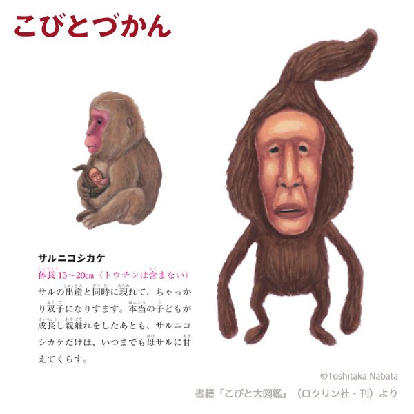 1日1コビト紹介： #サルニコシカケ 今年の連休は長野県の #地獄谷