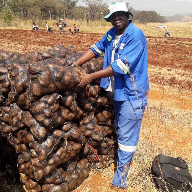 John Muchenje tweet media