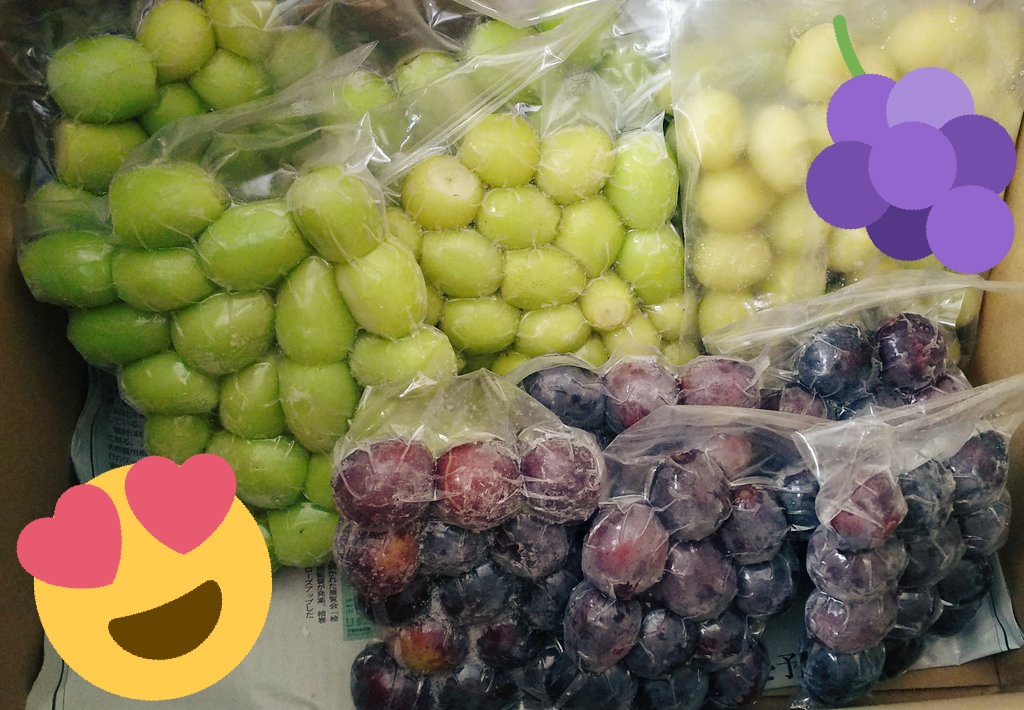 シャイン マスカット 冷凍