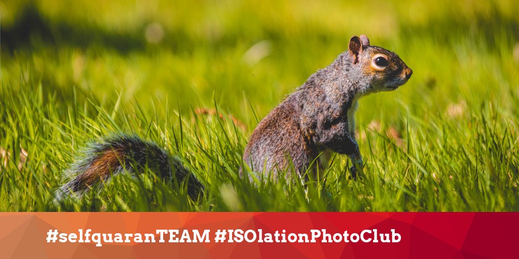 selfquaranTEAM's tweet photo. If you're looking for something to do this weekend why not enter #UoMPhotoComp, win £1000 with just your phone and your imagination!
 
Find this &amp; more #CREATE events here:
https://t.co/nCc78omBTn

📸 @Mat_S_Johns. Tag your photos #ISOlationPhotoClub for a chance to be featured. https://t.co/O1p2bQmj1A