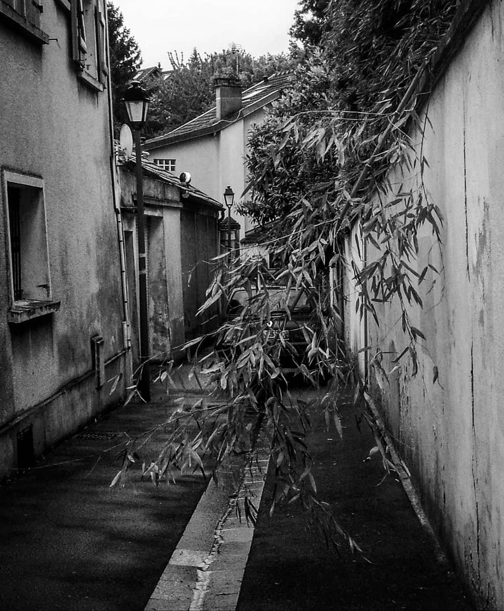 Orosedo's tweet photo. Jour 47
Camouflage caca
#noiretblanc
#blackandwhite #perspective #confinement #photographer #covid_19 #photography #calm #littlestreet #camouflage #car #blackandwhitephotography #ohitsrainingtoday #raining https://t.co/jF6qZTsghG