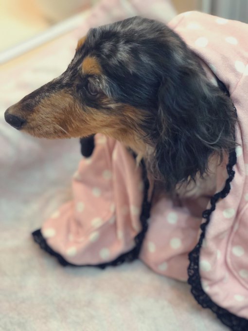 ❀桜ここみ❀’s pics and videos