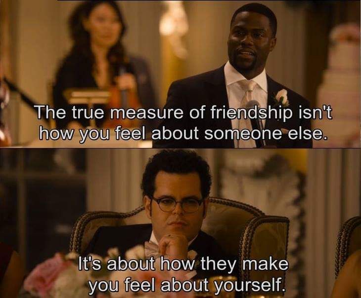 73) The Wedding Ringer (2015)"I want my real life to be as fun as the one I made up!"