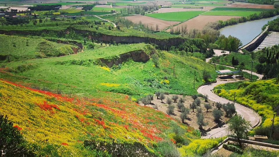 Ahora no la veo, pero como si la estuviera viendo. Esta imagen del #Duero a su paso por #Toro es espectacular todo el año, pero con las flores de mayo, con el despertar de los colores y el ajetreo en las huertas, las viñas con sus hojas nuevas... ¡Tanto que ver y disfrutar!