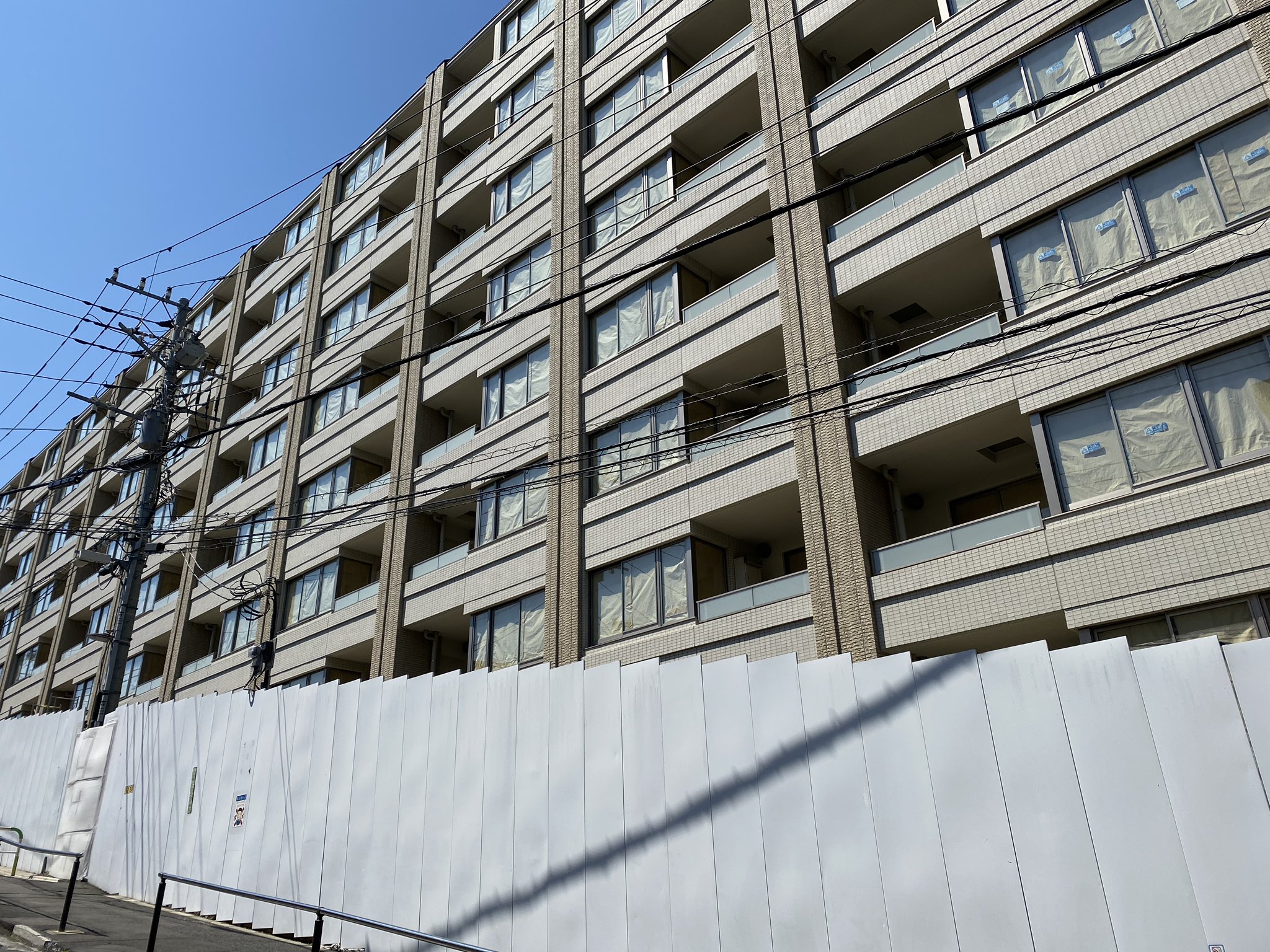池之端タヌキ 文京区指定特別史跡ルサンク小石川後楽園を眺めています 池之端タヌキ 文京区指定特別史跡ルサンク小石川後楽園を眺めています