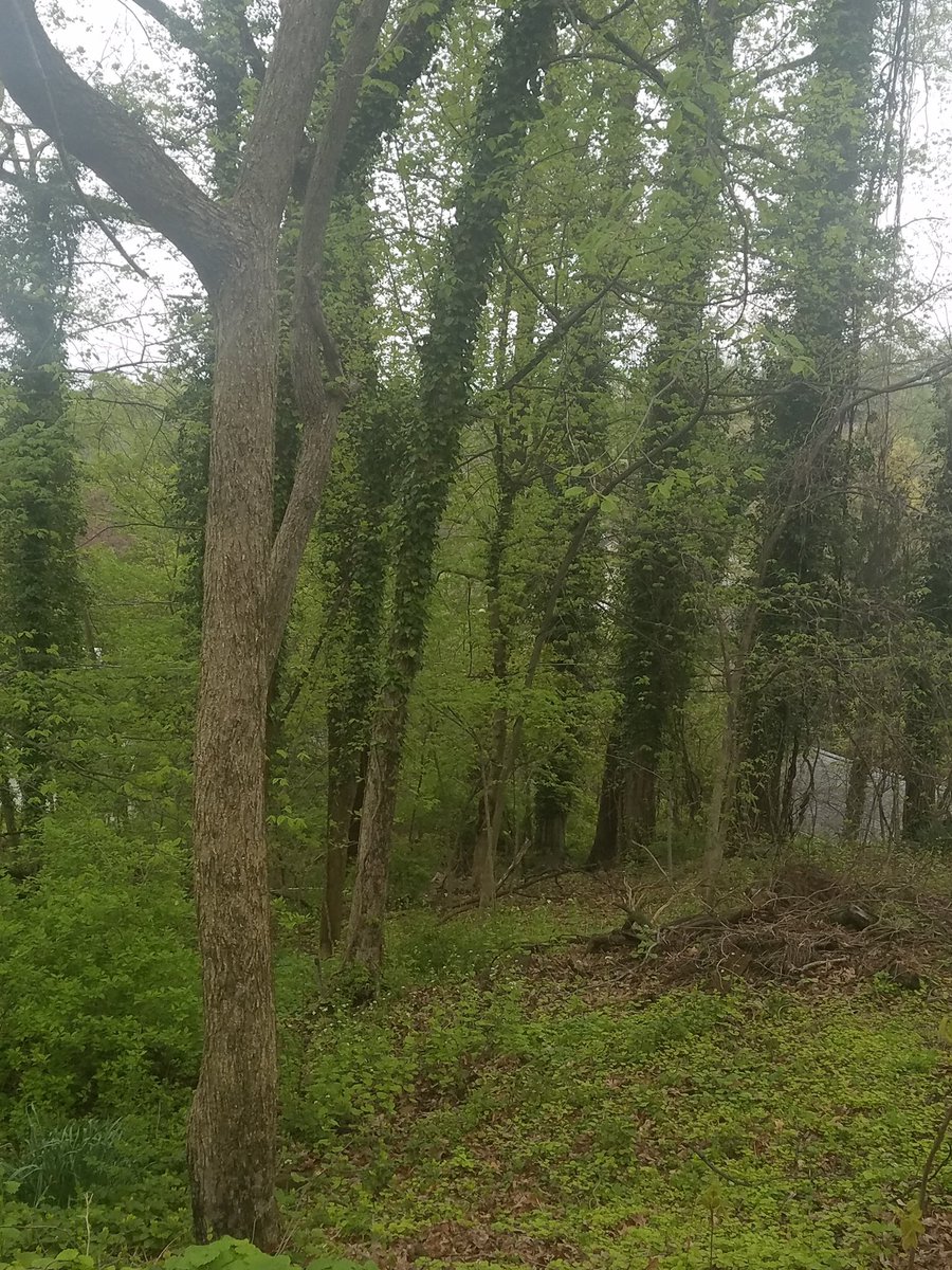 ShadowEater03's tweet photo. #62 The good old outdoors! Wish I could have done this with you Janessa! #DOVAKIIN #GHH20 @GC_Counseling https://t.co/MrhJfInq5J