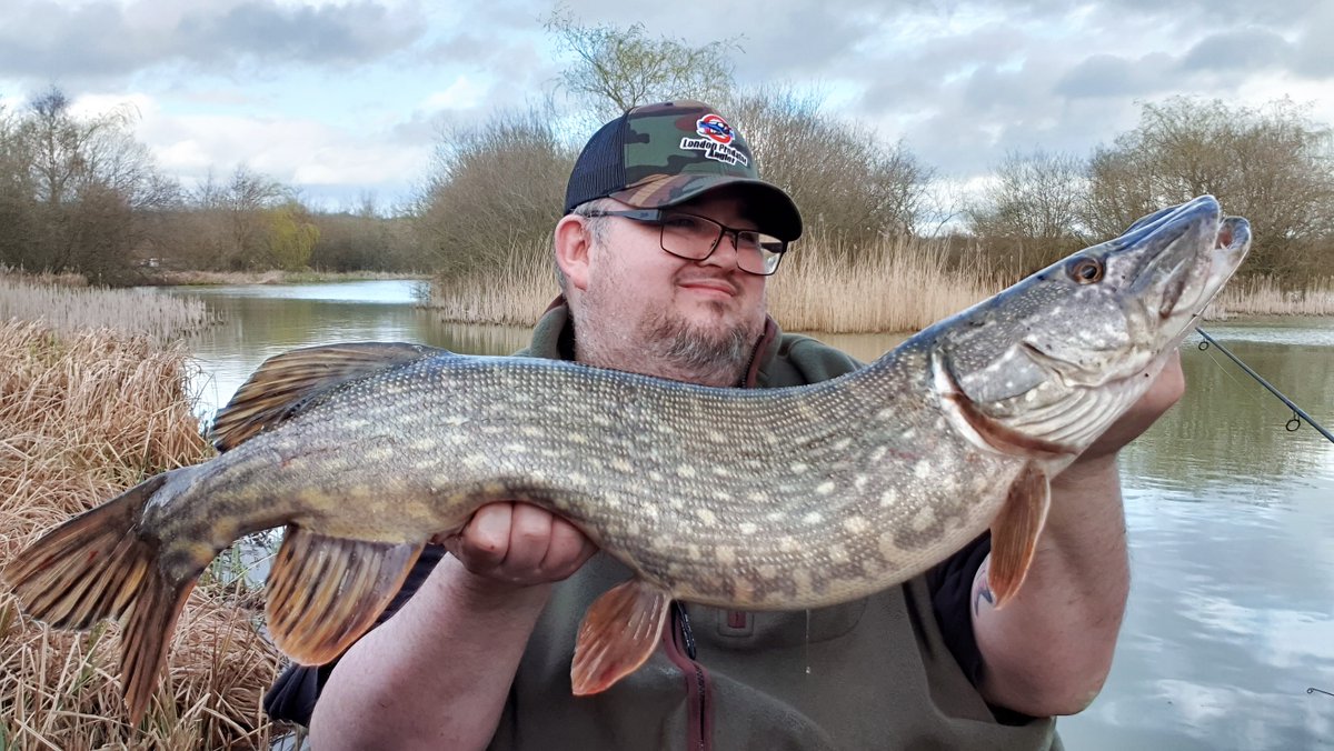 AnglerLondon's tweet photo. 3 lovely Doubles taken on the last Pike session of the season! I was very made up! #LondonPredatorAngler #TeamLPA #TightlinesAndDeadbaits #Pike #Esox #PikeFishing #Crocs #Gators #NorthernPike #BankLIfe #Kent #YouTuber #Blogger #FishingVideos #Fishing #Angling ๐ฃ๐๐๐ https://t.co/hRZ1CdehWX