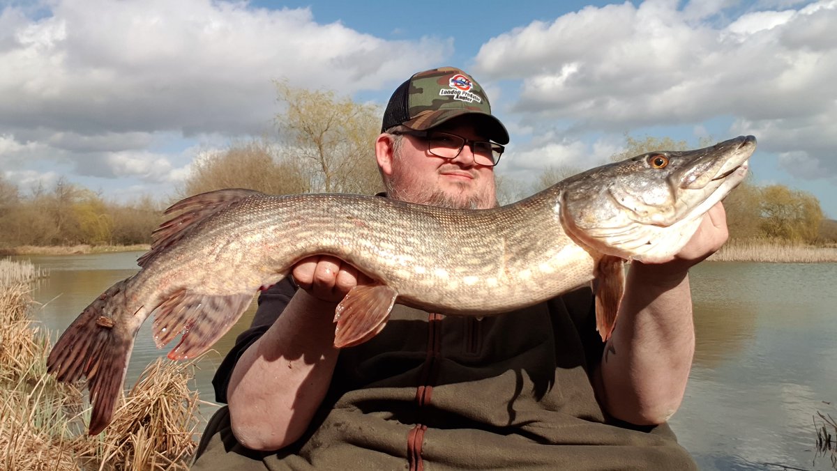 AnglerLondon's tweet photo. 3 lovely Doubles taken on the last Pike session of the season! I was very made up! #LondonPredatorAngler #TeamLPA #TightlinesAndDeadbaits #Pike #Esox #PikeFishing #Crocs #Gators #NorthernPike #BankLIfe #Kent #YouTuber #Blogger #FishingVideos #Fishing #Angling ๐ฃ๐๐๐ https://t.co/hRZ1CdehWX