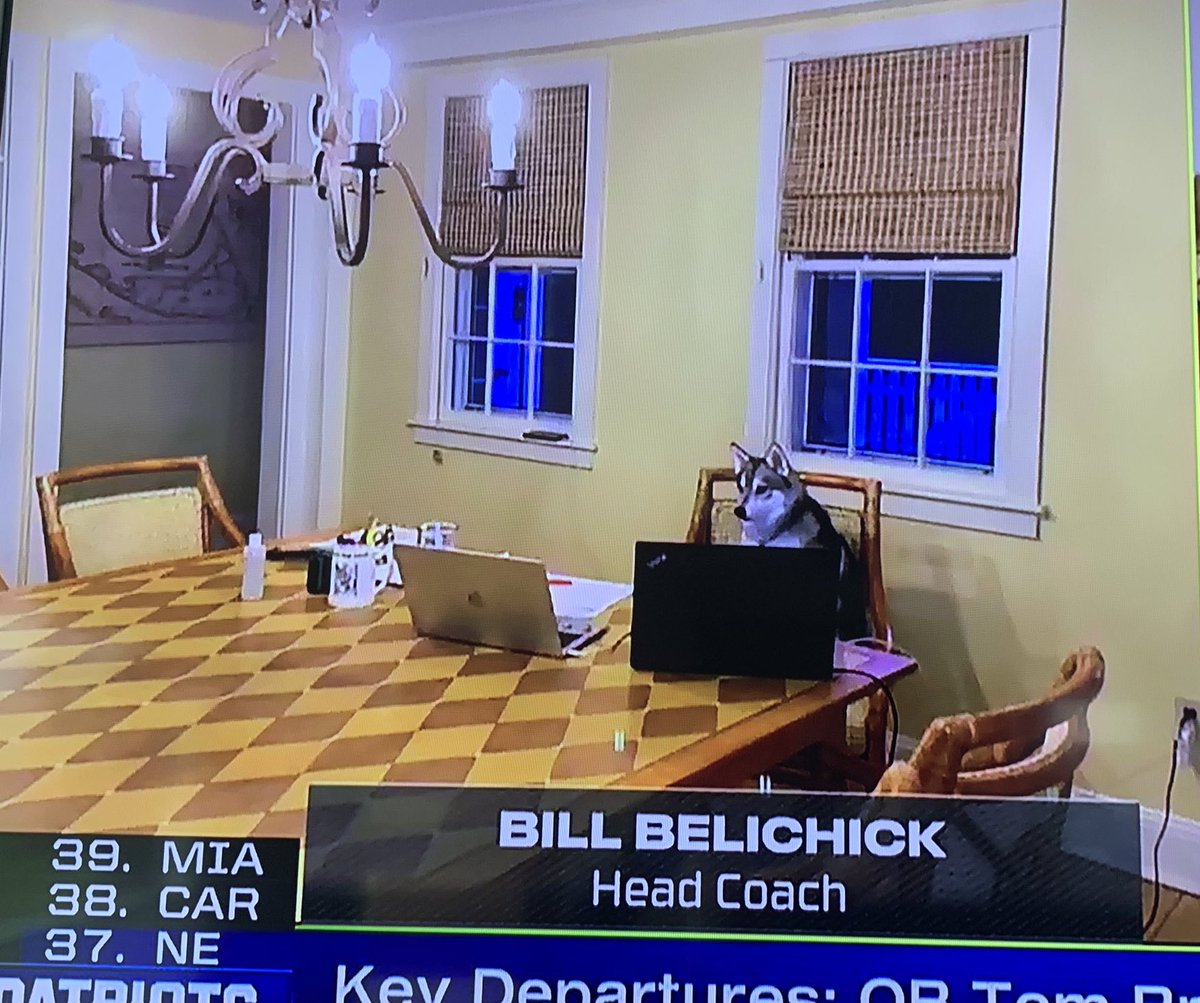 Warren Sharp tweet media