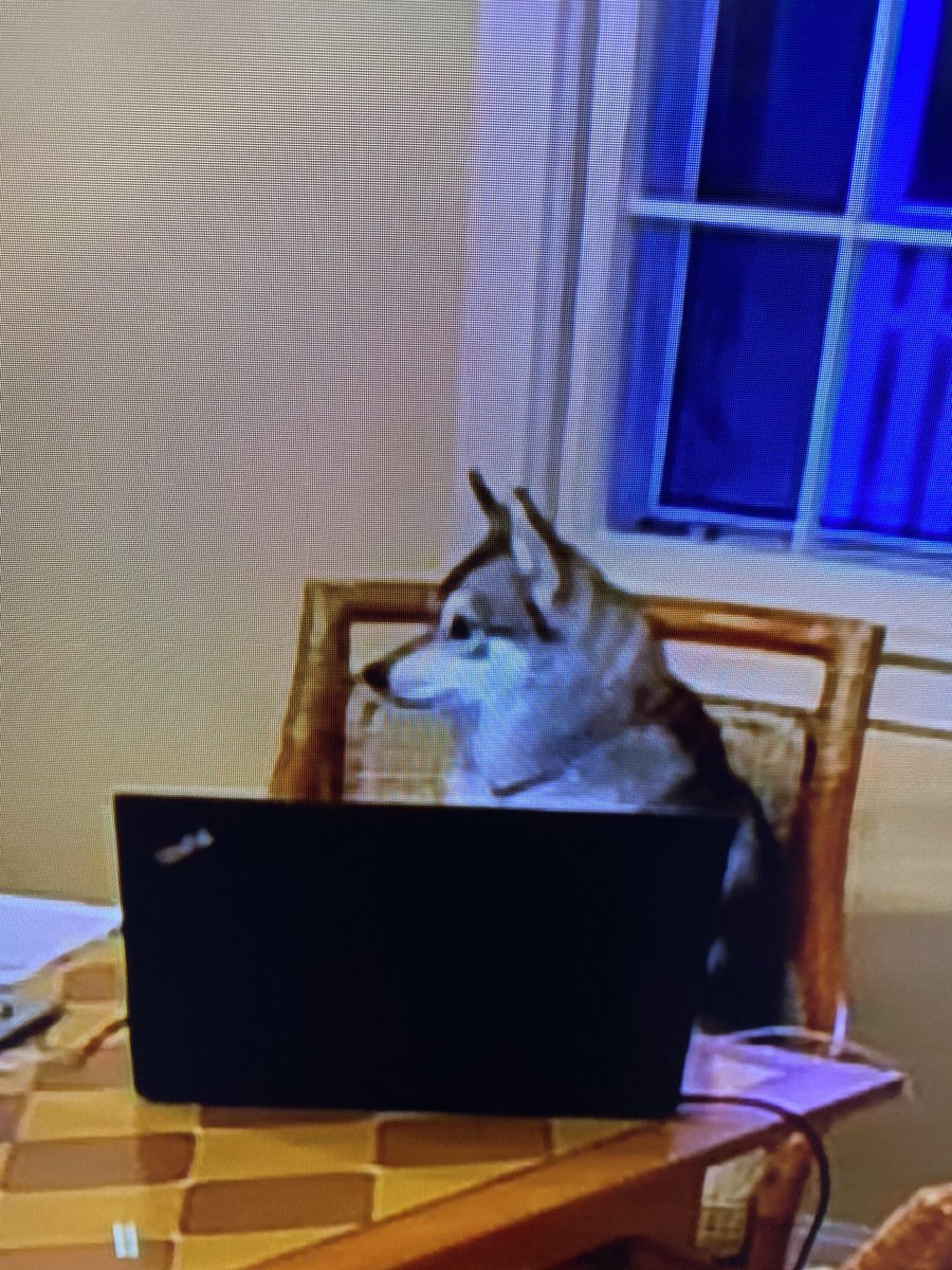 These drafts require a group effort from multiple departments coming together after 12 months of extensive research. 

The Patriots: