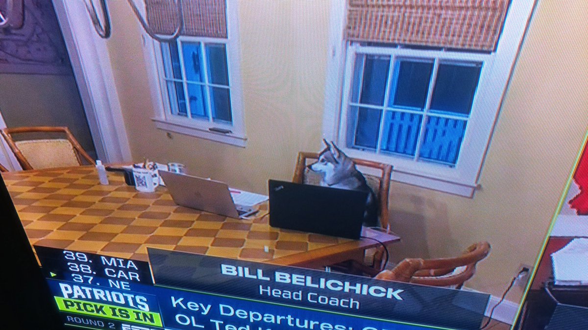 LevanReid's tweet photo. Here we go and this is totally a Bill Belichick move.  He picks a division 2 player and he has a canine sitting the the chair when they show his draft room. Who let the dogs out???? Welcome to the @Patriots Kyle Dugger. https://t.co/DAfaHk8rDS