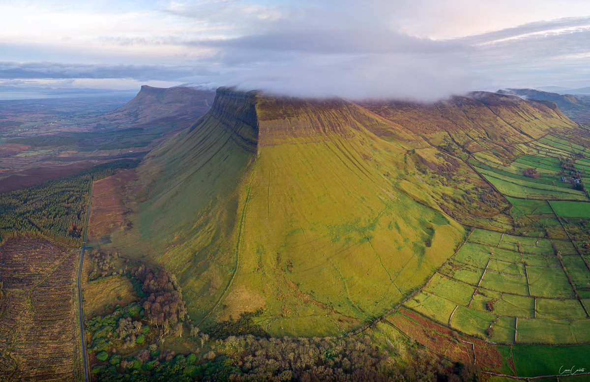 Adrian Michael Jones (@adrianmacseoin) on Twitter photo 