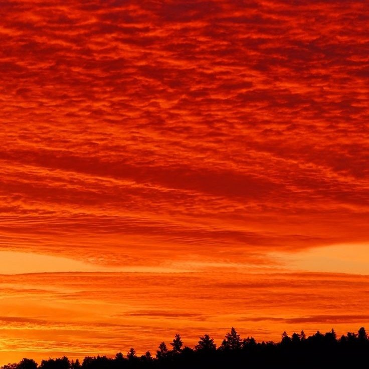 niall horan as sunsets/the sky; a thread