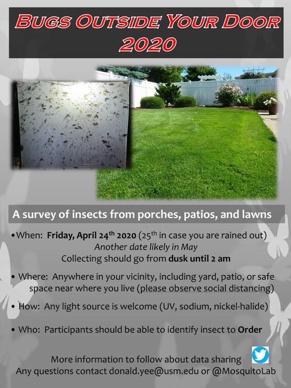 bugAnnaDHowell's tweet photo. What will I be doing tonight? Staying up checking out #BugsOutsideYourDoor 😎🤓 Who else is in!??? 🤗 https://t.co/ddKZ072TW6