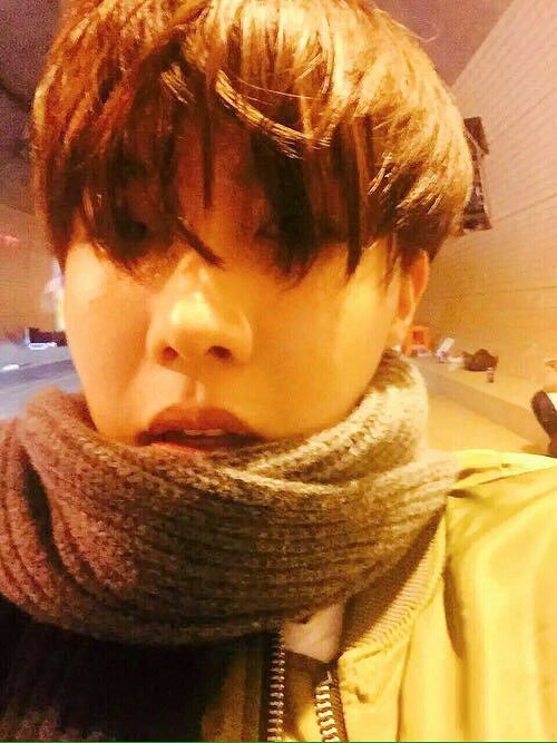 look at him in his lil scarf look at him