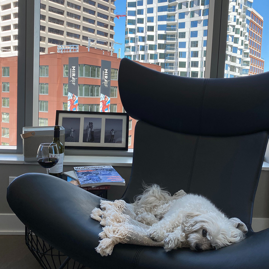 BoConceptSF_SJ's tweet photo. Things that are getting us through this difficult time: dog therapy, and a lot of wine! What’s been helping you? #tgif https://t.co/naPWB6Jjbc