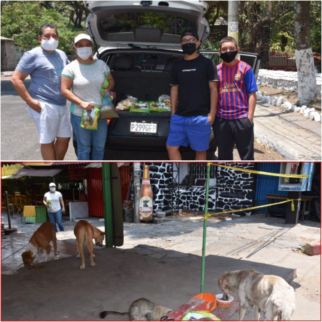 Amor por los peluditos. 🐶🐱 La familia Flores Orellana, lleva agua y concentrado a los animales que viven en las calles de Amatitlán. 👏💯