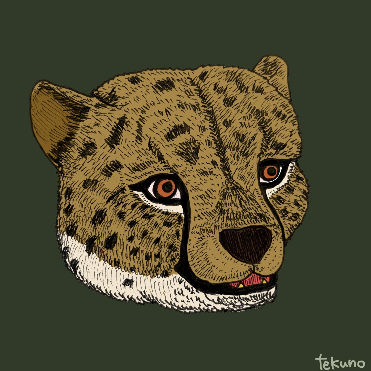 カラフルヒョウさん イラスト 動物イラスト ペン画 ボールペン画 色 寿てくののイラスト カラフルヒョウさん イラスト 動物イラスト ペン画 ボールペン画 色 寿てくののイラスト
