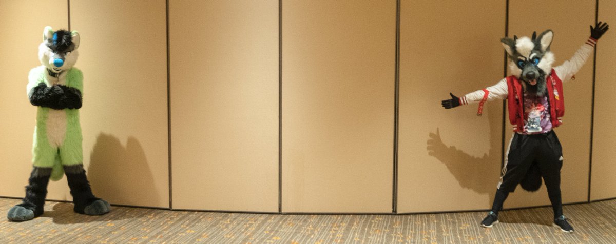 Happy #FursuitFriday with the first FuffyFoxworks photo-shoot!! Yes I know there are only two of us but hopefully there will someday be more

Looking back on this, me and <a href="/Kiwi_Foxx/">Kiwi</a> were social distancing before it was cool