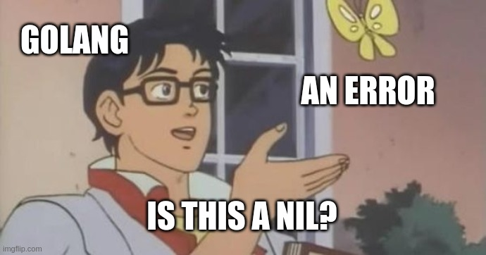 is this a pigeon but for golang asking is this a nil of an object
