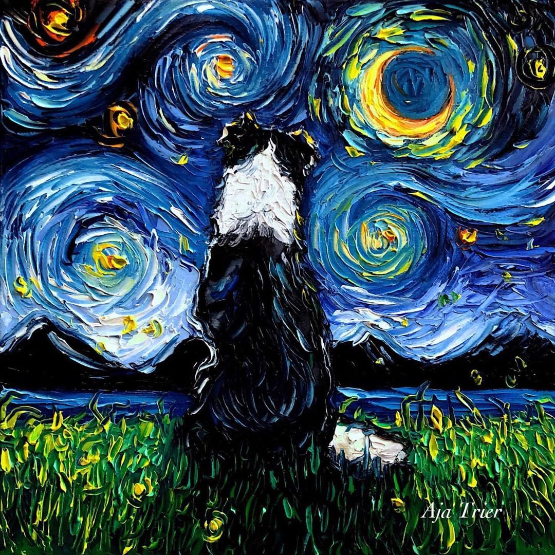.
“Border Collie Night 3”
#EyaAjaTrier