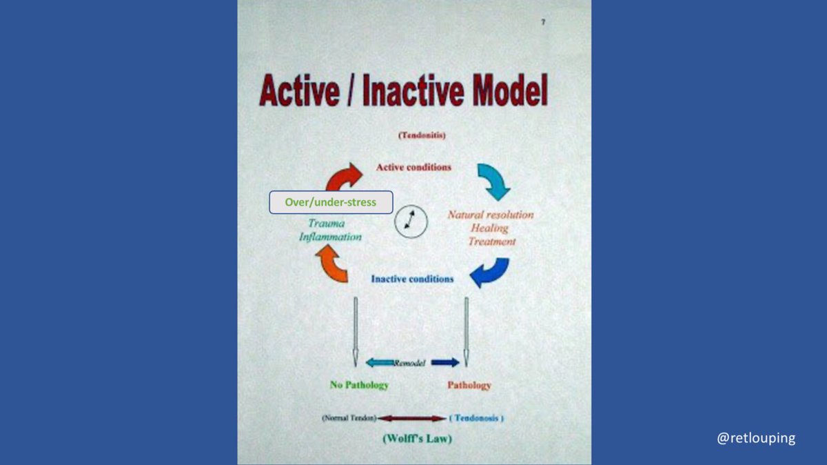 With a lordotic deformity.I developed the Active/Inactive cycle which utilizes mechanical and symptomatic responses to loading to classify presenting conditions without reference to the three syndromes. That is for another episode. Hope this makes sense of the Mckenzie system.