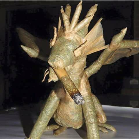 cerebro16's tweet photo. @paradiseseeds Dutch Dragon https://t.co/z19IXZKJxX