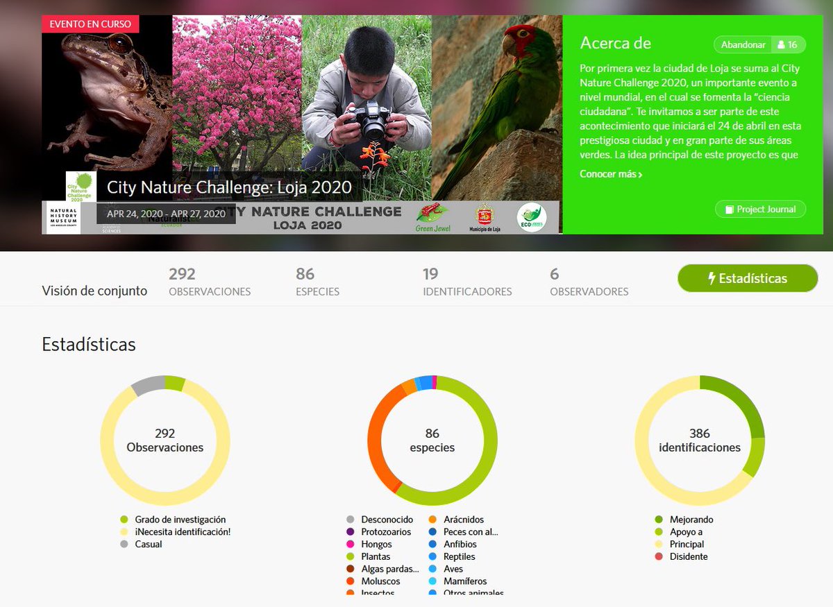 LounazUNL's tweet photo. #CityNatureChallengeLoja 

En el primer día del #CityNatureChallenge, la ciudad de Loja registra 292 observaciones de #BiodiversidadUrbana.
📸🦋🐝🌼🐞🍄🐾🌴🌳🦎🦟🦂🐌🐜🦗🕷️ https://t.co/LGt6IVs9sY