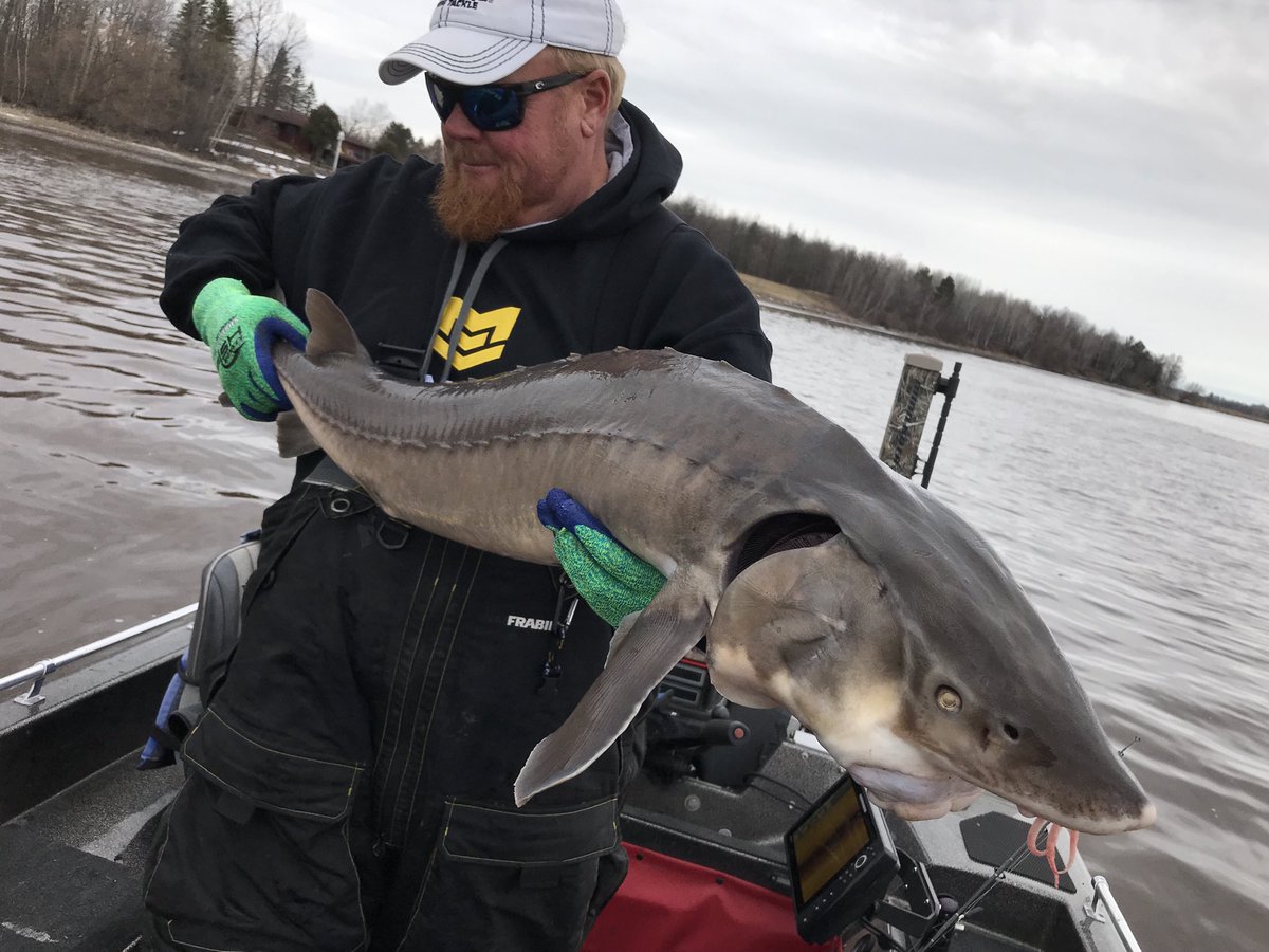 brobull's tweet image. #FishMonkey #Fridays #CatchTheMonkey “Catch On &amp;amp; Fish On” 🎣🙉🧤🧤 Bro ⁦@FishMonkeyGear⁩