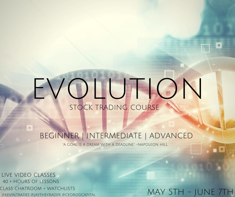 sfvkev's tweet image. 🦍