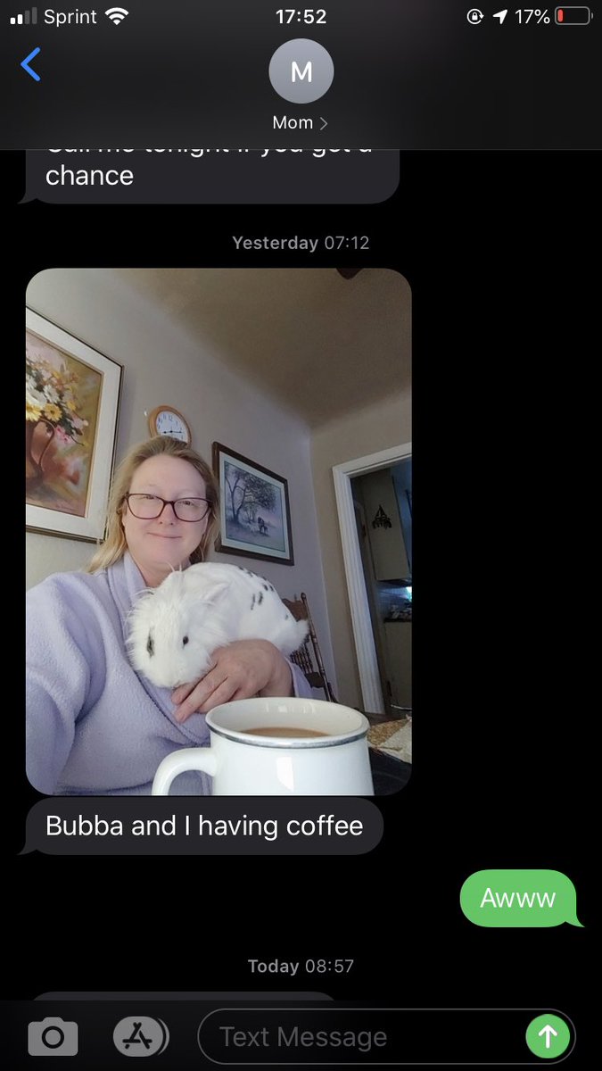 amsaucey's tweet photo. So my mom bought a bunny https://t.co/o6AL0rbhse