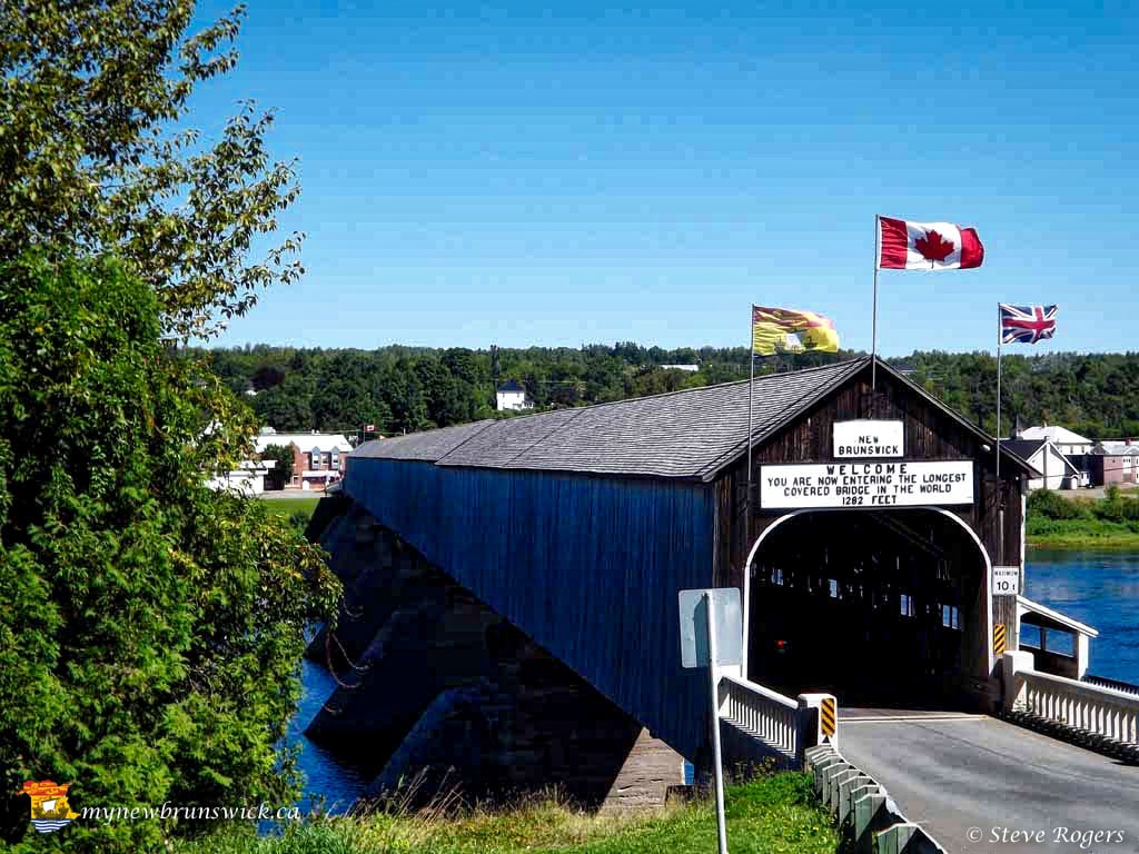 My New Brunswick 🇨🇦 tweet media