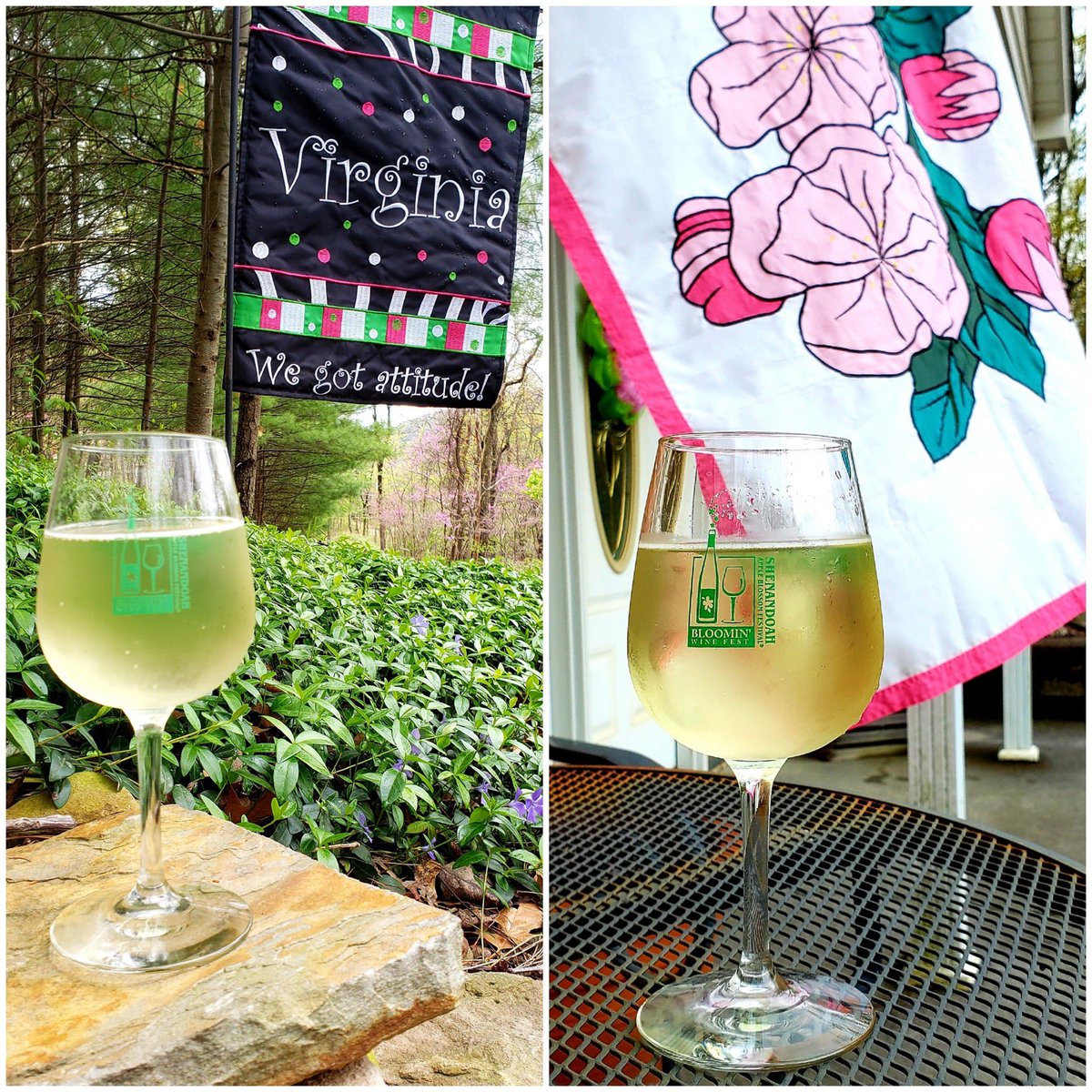 OfficialSABF's tweet photo. #Cheers2theBloom https://t.co/wtuS6gKPQe
