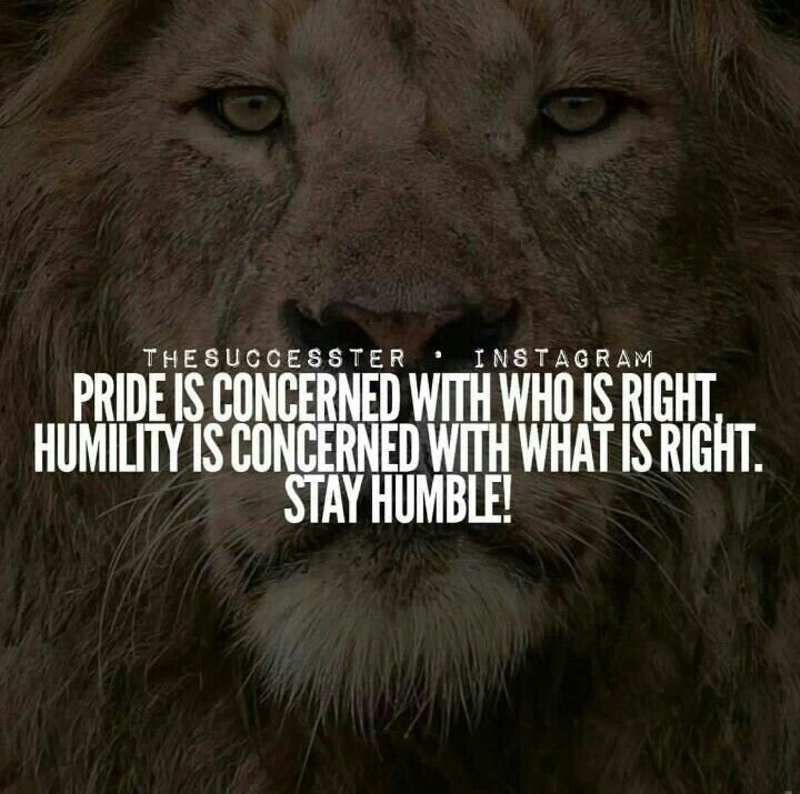 Doug Science  🔬 🧪 tweet media