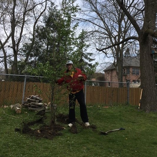 CVSDcolts's tweet image. Happy Arbor Day, from IS teacher Mr. Quinn and all of us here at CV! 

Mr. Quinn celebrated Earth Day earlier this week by planting a beautiful cherry tree. Thanks for making the world a better place, Mr. Q.! 

#CVstrong