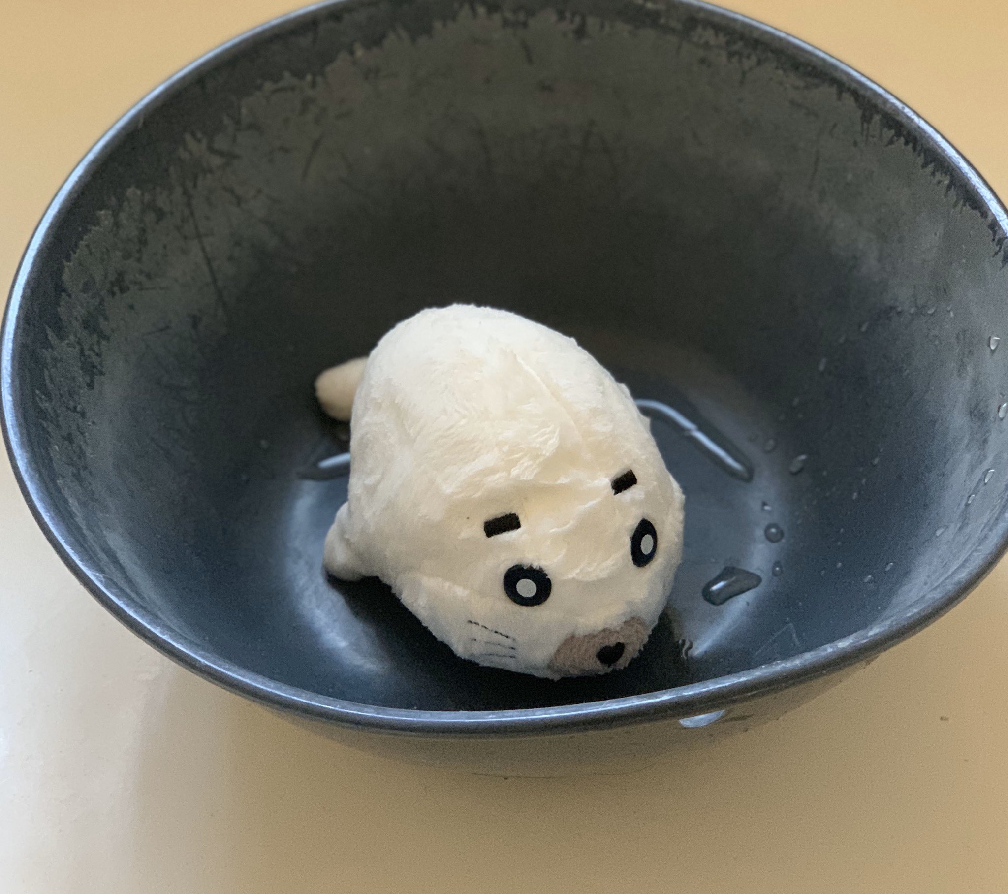 愛されすぎたゴマちゃん Twitter Search Twitter