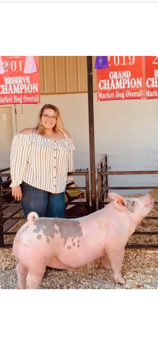 FfaCuba's tweet photo. Congratulations Alyson Staples and Al Palmer! Missouri FFA State Degree recipients! Even though you all weren’t able to walk across stage in this crazy time your hard work has not gone unnoticed! We are so proud of you all! @CubaHighSchool https://t.co/e7sRiP5HX1