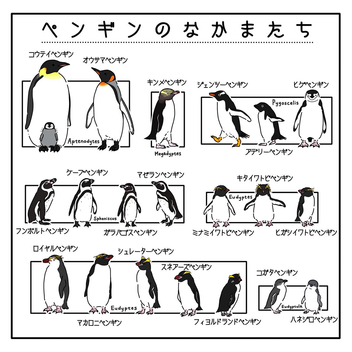 どのペンギンも好き〜🐧

 #世界ペンギンの日
#WorldPenguinDay 