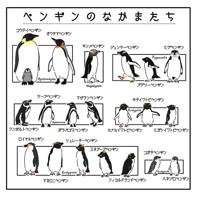 どのペンギンも好き〜 #世界ペンギンの日#WorldPenguinDay 