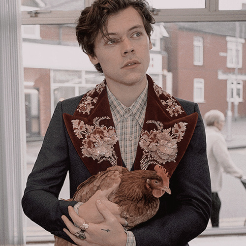 sheftbrave's tweet photo. 𝑊ℎ𝑒𝑛 𝑦𝑜𝑢'𝑟𝑒 𝑙𝑜𝑠𝑡 𝑖'𝑙𝑙 𝑓𝑖𝑛𝑑 𝑎 𝑤𝑎𝑦 𝐼'𝑙𝑙 𝑏𝑒 𝑦𝑜𝑢𝑟 𝑙𝑖𝑔ℎ𝑡 https://t.co/kf8MwV5ZdD