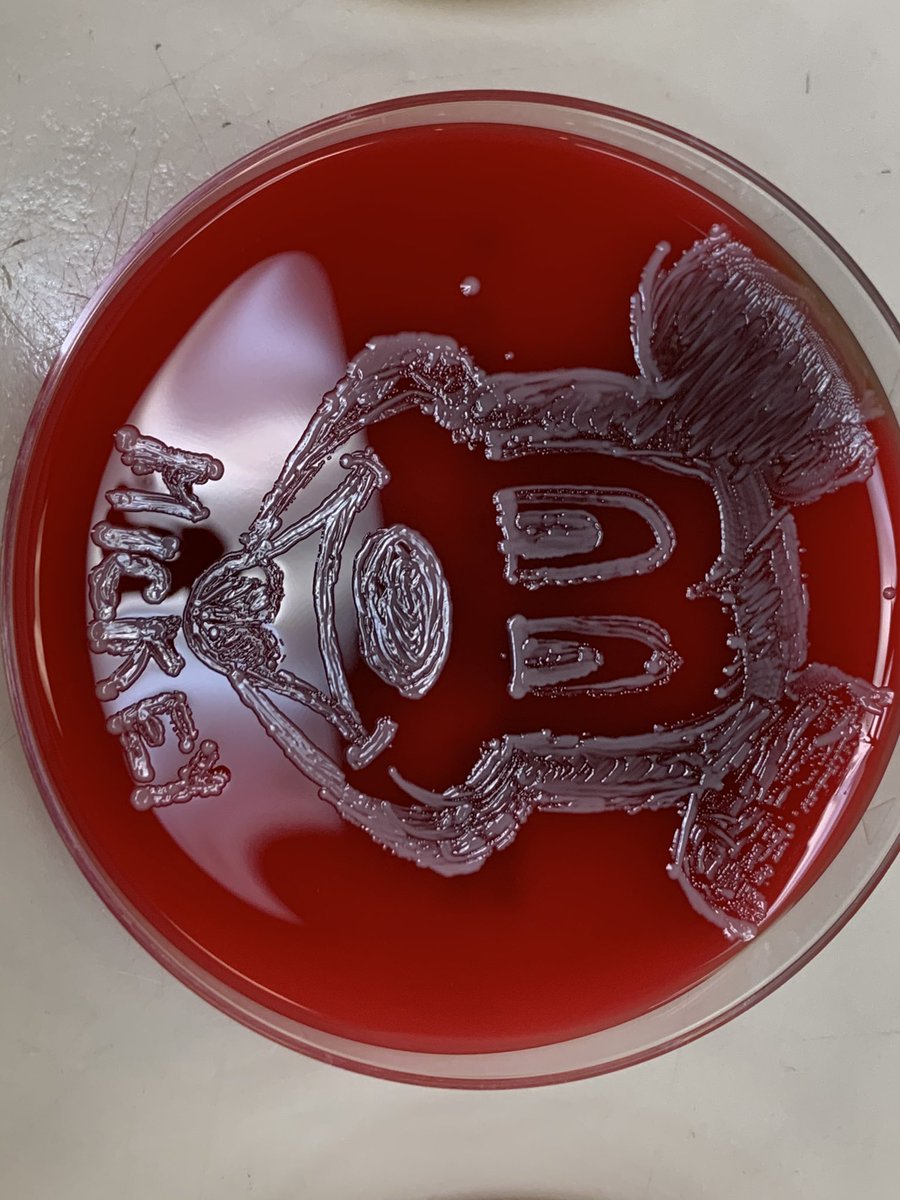 odie0222's tweet photo. Lab Week “Anti-buddy “ Media Art Challenge #VirtualLabWeek  @ASMicrobiology @andreaprinzi @ASCP_Chicago @RodneyRohde @micro_rp @aharrington1884 @UNC_Clin_Micro @JClinMicro @Emory_MedMicro @up2Melissa @schuetz_audrey @richdavisphd @ThatLabChick @KMirza @SCristianLozano @DrReneeGo1 https://t.co/CHsbUFFrzb