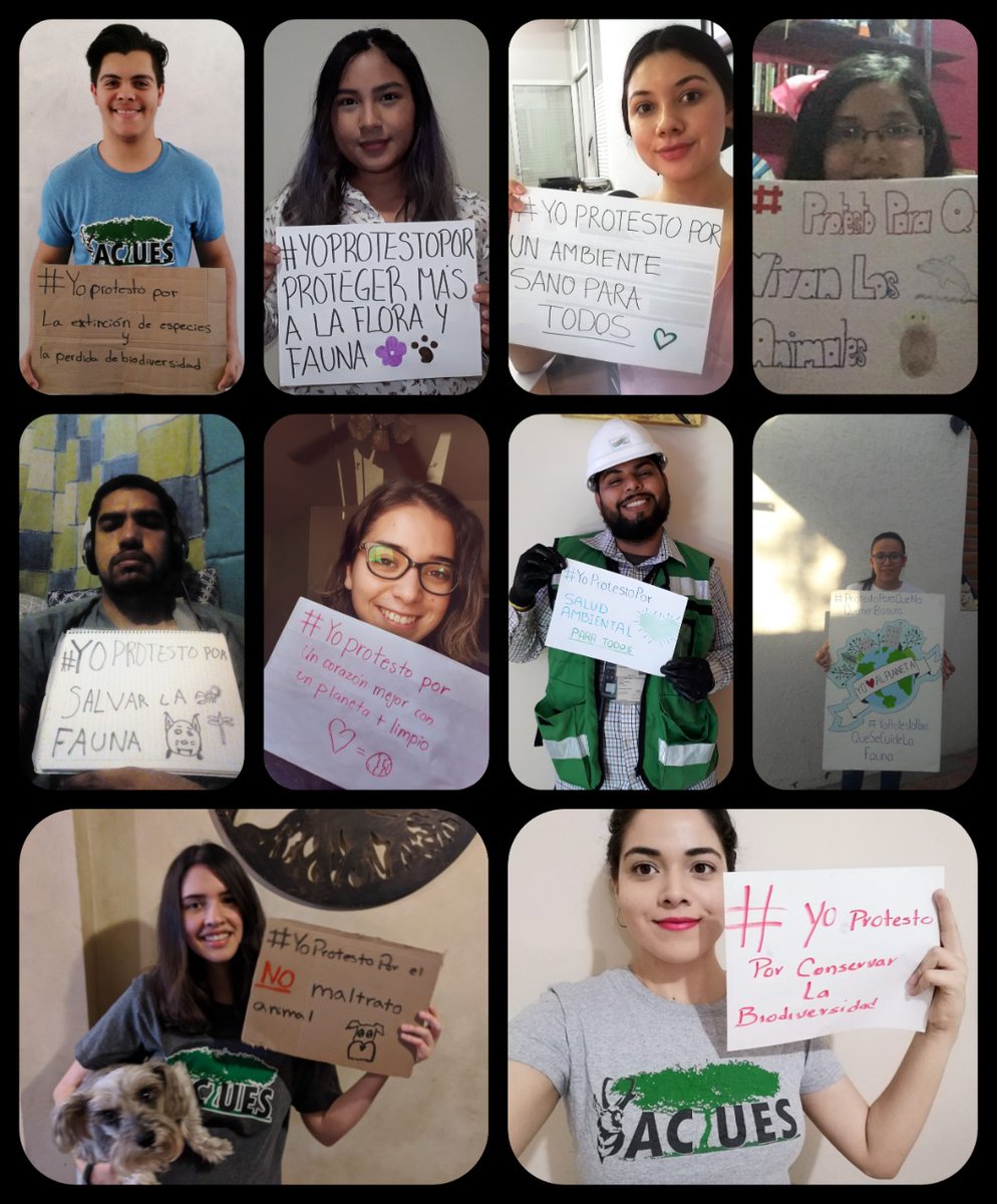 Esta #cuarentena le ha dado un respiro a nuestro planeta
Sin embargo

El Grupo Ecológico ACTUES se une a la campaña #yoprotestopor dentro de la #HuelgaClimáticaDigital  para tener un mundo donde se respete la biodiversidad y la salud planetaria
 #ClimateStrikeOnline
#SomosACTUES