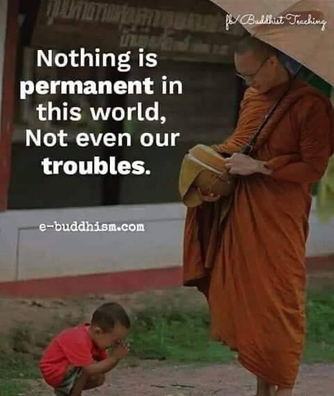 Jjack - Humanity / Nature tweet media