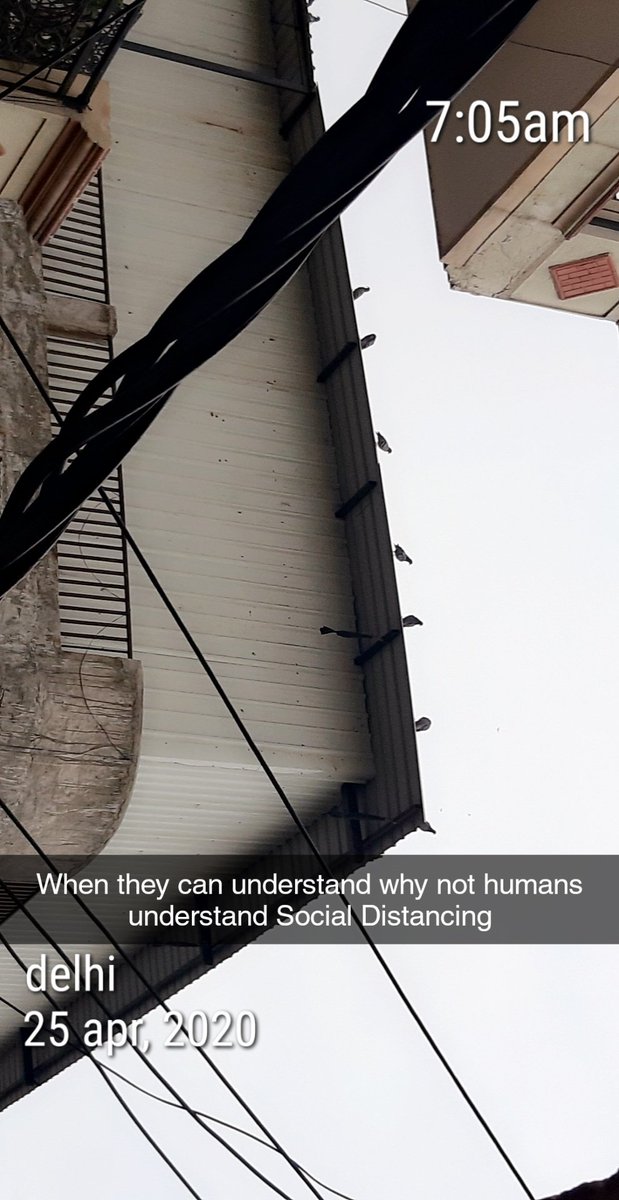 adv__deepali's tweet photo. When they can understand why not humans understand Social Distancing
#socialdistancingwalk #socialdistancing #socialdistancingactivities #socialdistancingchallenge #socialdistancingdoneright #socialdistancingatitsfinest #socialdistancing2020 #socialdistancingart https://t.co/wYQDByjS39