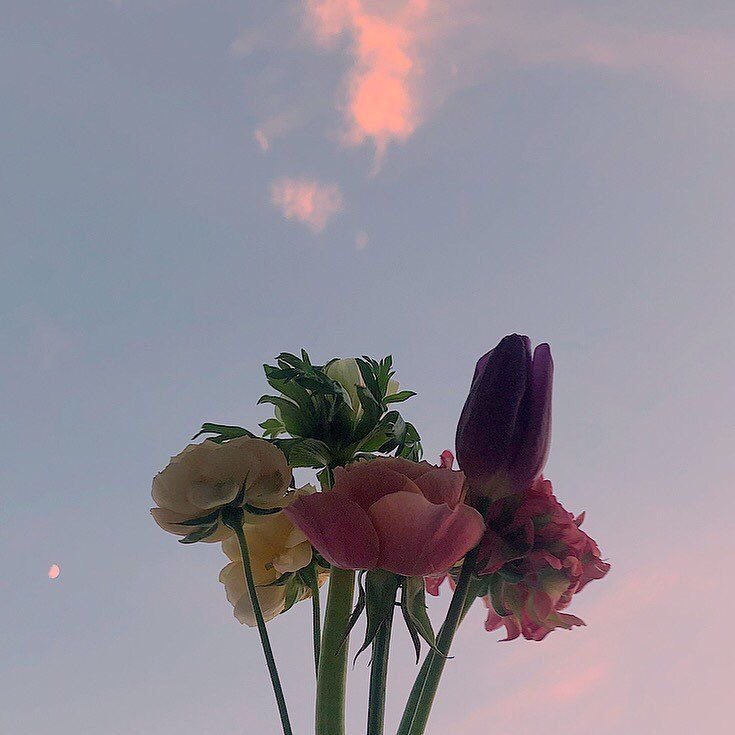 เ ว้ น ว ร ร ค ◦ soul in bloom ✿ tweet media