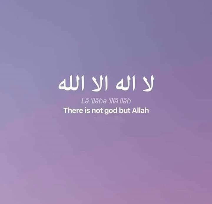 HaifaaOfficial's tweet photo. https://t.co/D972UkZZBX
