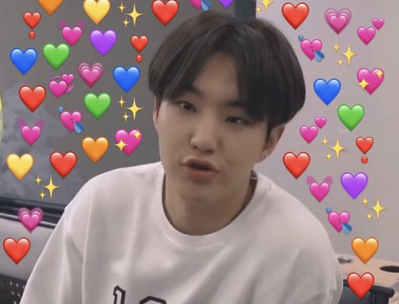 end of thread bcos if we continue,, it will never end cuz hoshi is a soft fluffball and i luv him sm <333