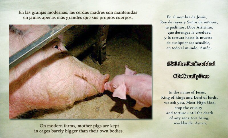 girasol2201's tweet photo. @angie_karan #AnimalRights
#FriendsNotFood
#FightForTheInnocent
#CompassionOverCruelty
#Quotes
#Frases
#StopAnimalAbuse
#Compasión
#Compassion
#Motivación
#Motivation
#EndLessLove
#EndSuffering
#Covid_19 https://t.co/dNFDsWAcDa