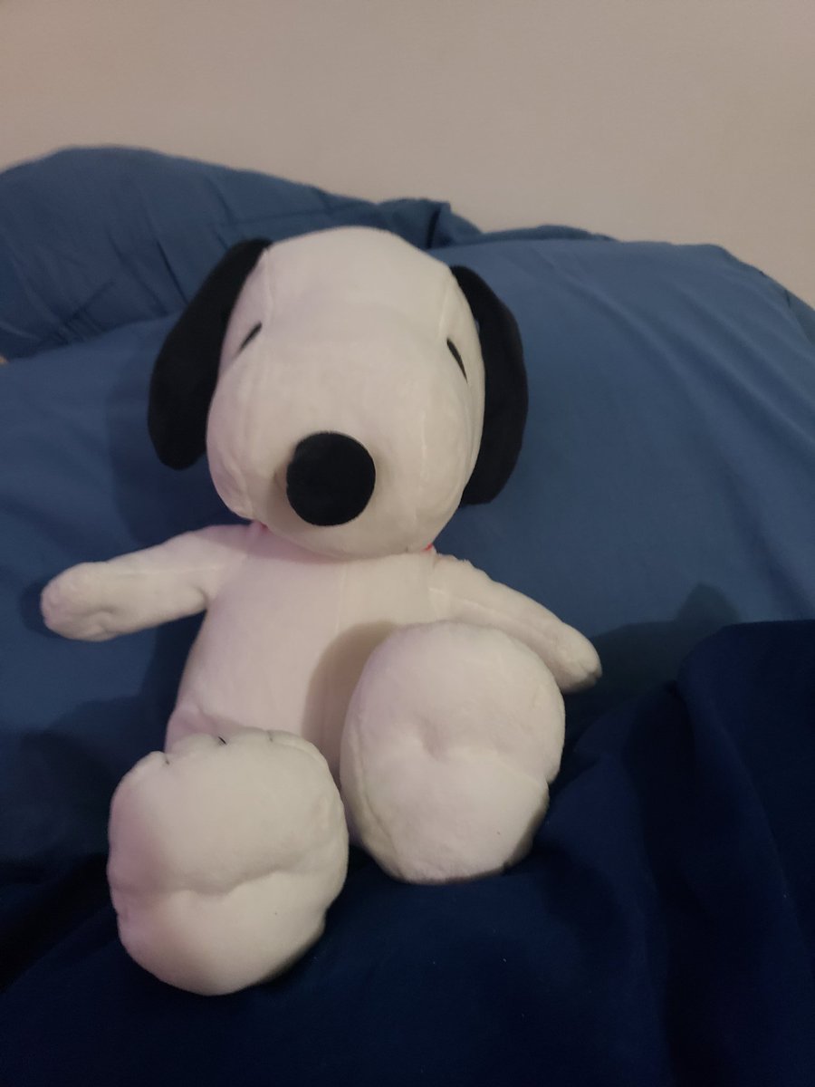 This is. Snoopy. Snoops? I have like seven snoopy plushies but they're all snoopy. He is also a sleeping buddy!!! I think he's very nice and I like him lots. He's a stay at home guy
